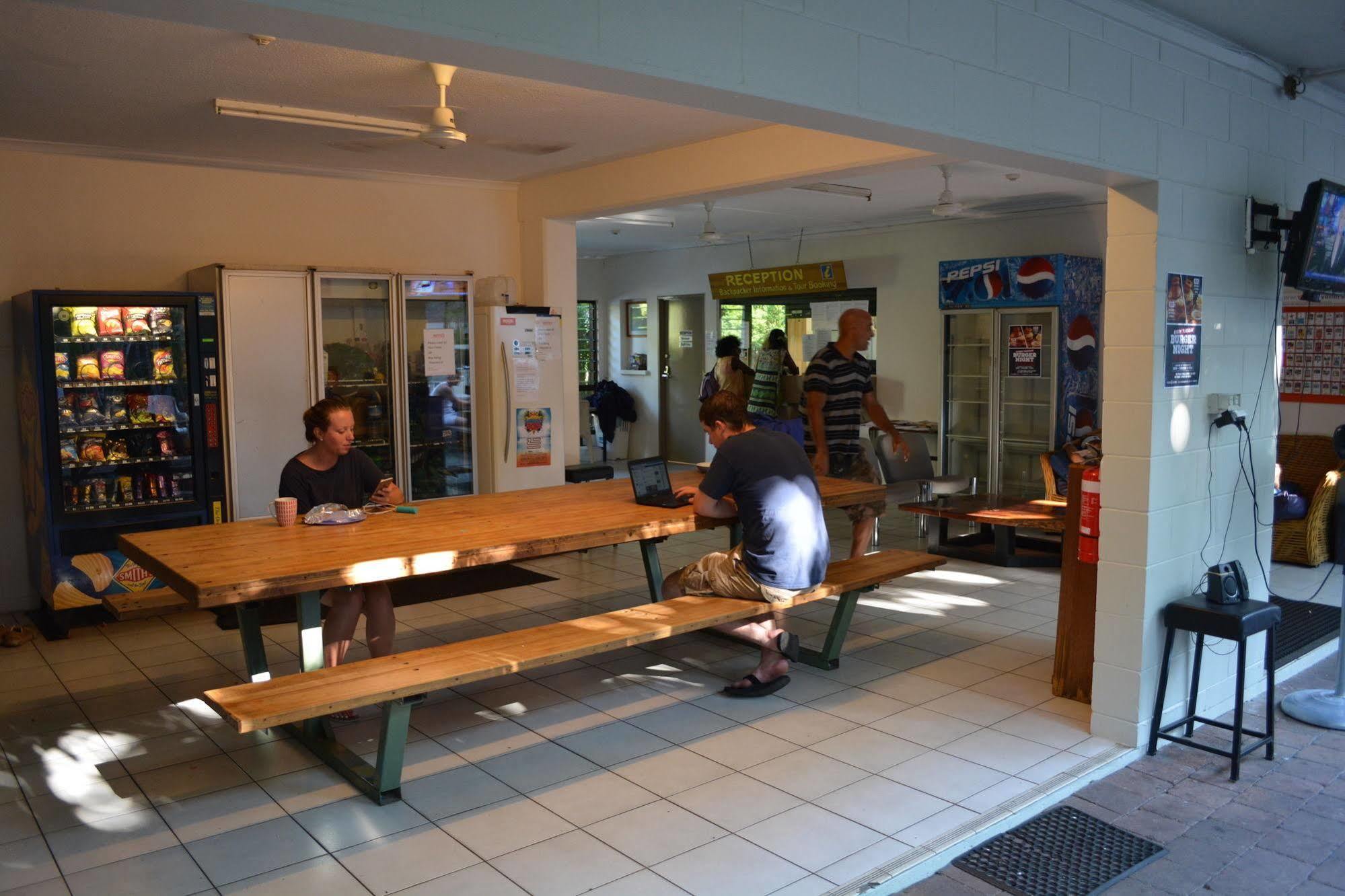 ฟร็อกชอลโลว์ แบ๊คแพคเกอร์ Hostel ดาร์วิน ภายนอก รูปภาพ