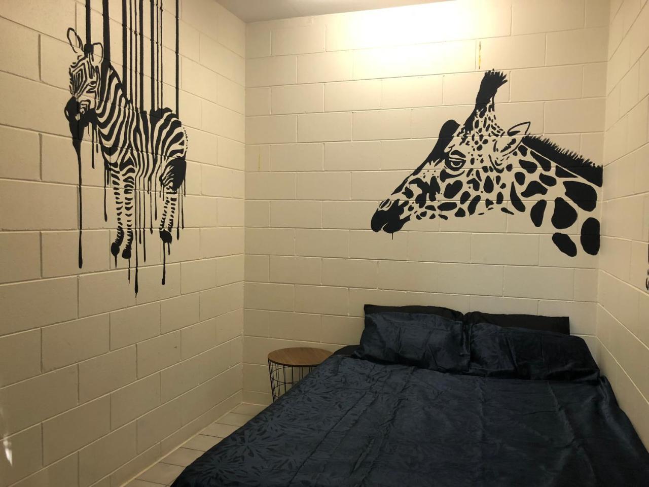 ฟร็อกชอลโลว์ แบ๊คแพคเกอร์ Hostel ดาร์วิน ภายนอก รูปภาพ